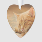 Slaapende Oranje tablet Ornament (voorkant)