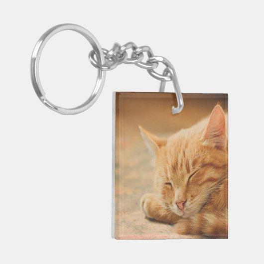 Slaapende Oranje tablet Sleutelhanger (Voorkant Links)