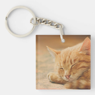 Slaapende Oranje tablet Sleutelhanger