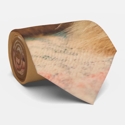 Slaapende Oranje tablet Stropdas (Opgerold)