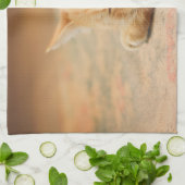 Slaapende Oranje tablet Theedoek (Gevouwen)