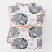 Slaapende papierlade met katten inpakpapier vel (In situ)