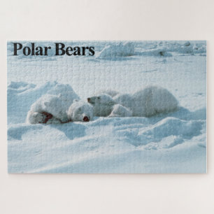 Slaapende poolse Beren Jigzaag Puzzle Legpuzzel