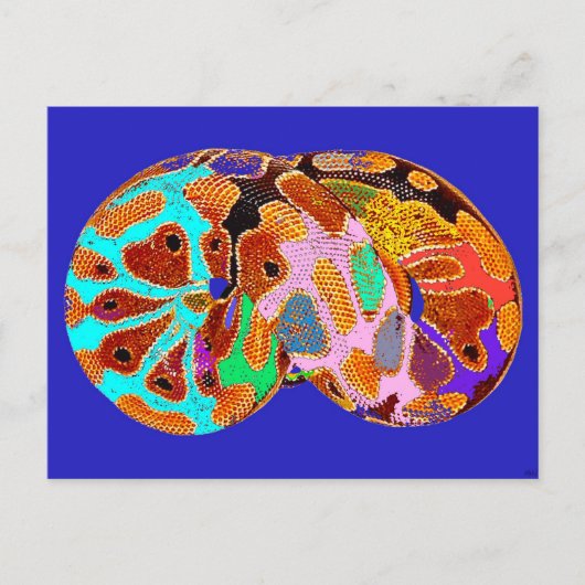 Slaapende Python Pop Art Post Card (blauw) Briefkaart (Voorkant)