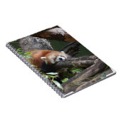 Slaapende Red Panda-laptop Notitieboek (Rechterzijde)