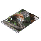 Slaapende Red Panda-laptop Notitieboek (Linkerzijde)