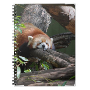 Slaapende Red Panda-laptop Notitieboek
