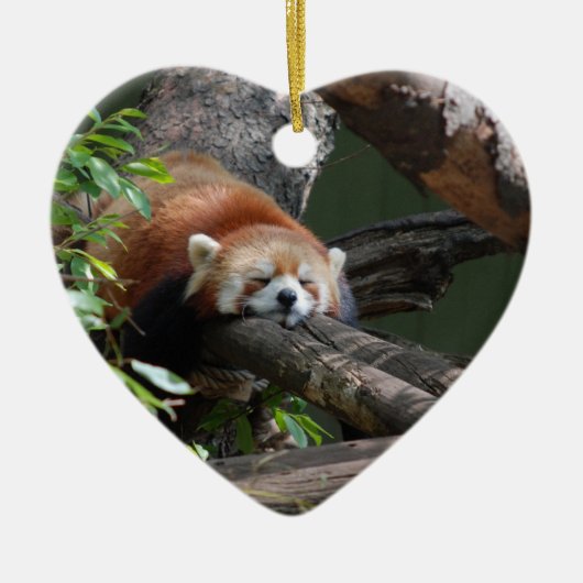 Slaapende Red Panda-versiering Keramisch Ornament (Voorkant)
