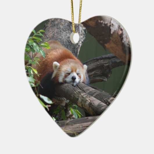 Slaapende Red Panda-versiering Keramisch Ornament (Links)