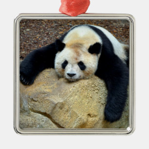 Slaapende reuzenpanda op een rots metalen ornament