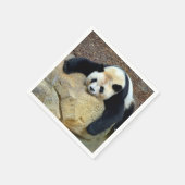 Slaapende reuzenpanda op een rots servet (Hoek)