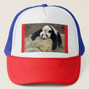 Slaapende reuzenpanda op een rots trucker pet