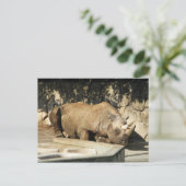 Slaapende Rhino Briefkaart (Staand voorkant)