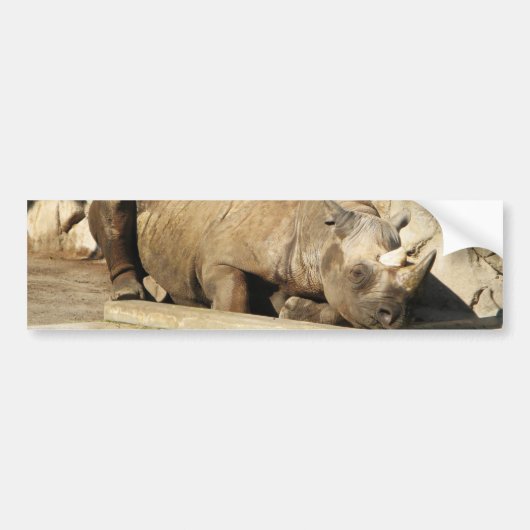 Slaapende Rhino Bumpersticker (Voorkant)