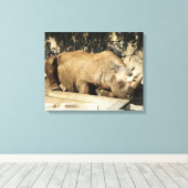 Slaapende Rhino Canvas Afdruk (Insitu (Houten vloer))