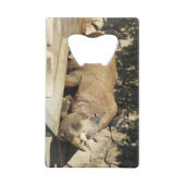 Slaapende Rhino Creditkaart Flessenopener (Achterkant)