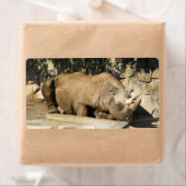 Slaapende Rhino Etiket (Insitu)