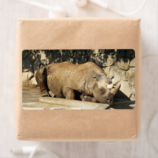 Slaapende Rhino Etiket (Insitu)