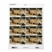 Slaapende Rhino Etiket (Full Sheet)