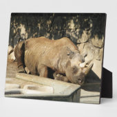 Slaapende Rhino Fotoplaat (Zijkant)