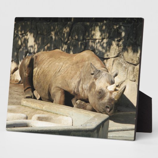 Slaapende Rhino Fotoplaat (Zijkant)