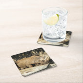 Slaapende Rhino Kartonnen Onderzetters (Insitu)