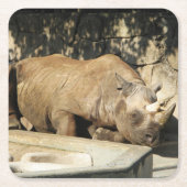 Slaapende Rhino Kartonnen Onderzetters (Voorkant)