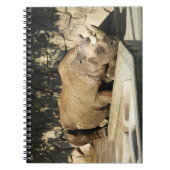 Slaapende Rhino Notitieboek (Voorkant)
