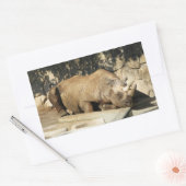 Slaapende Rhino Rechthoekige Sticker (Envelop)