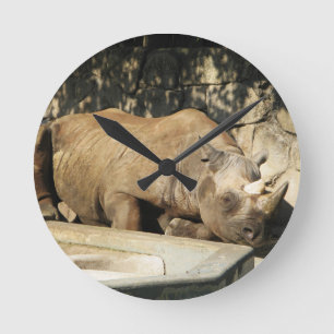 Slaapende Rhino Ronde Klok