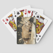 Slaapende Rhino Speelkaarten (Achterkant)