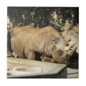 Slaapende Rhino Tegeltje (Voorkant)