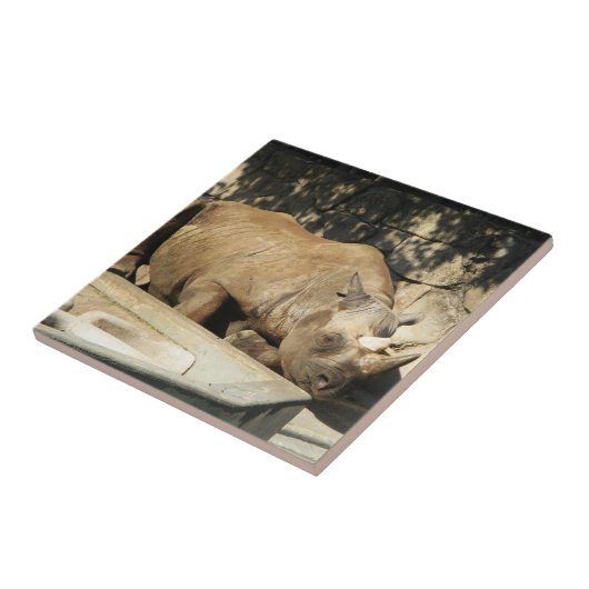 Slaapende Rhino Tegeltje (Zijkant)