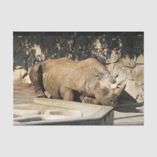 Slaapende Rhino Tissuepapier (Voorkant)