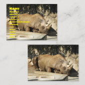 Slaapende Rhino Visitekaartje (Voorkant / Achterkant)