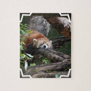 Slaapende Rode Panda-puzzel Legpuzzel