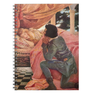 Slaapende Schoonheid door Jessie Willcox Smith Notitieboek