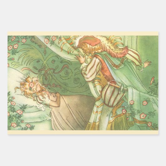 Slaapende schoonheidsprinses, feillade inpakpapier vel (Voorkant 2)