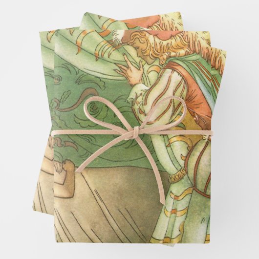 Slaapende schoonheidsprinses,  feillade inpakpapier vel (In situ)