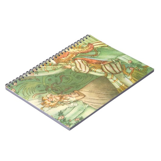 Slaapende schoonheidsprinses,  feillade notitieboek (Linkerzijde)