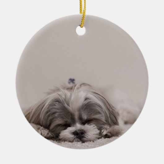Slaapende sjiitische kerstversiering, slaaphond keramisch ornament (Voorkant)