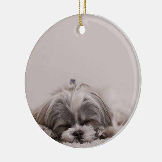 Slaapende sjiitische kerstversiering, slaaphond keramisch ornament (Links)
