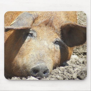 "Slaapende Varken" Mousepad Muismat