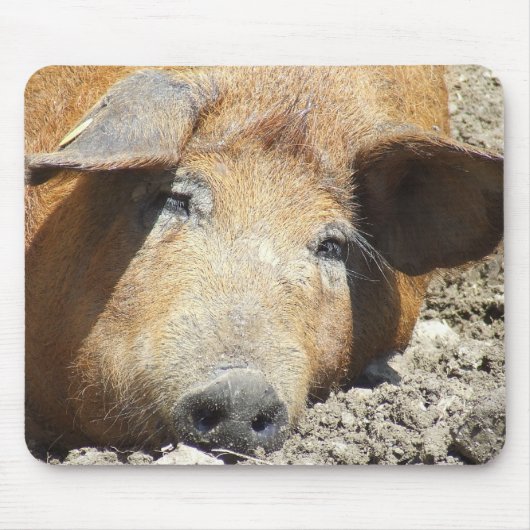 "Slaapende Varken" Mousepad Muismat (Voorkant)