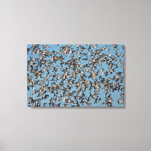 Slaapende winterdeenden in de vlucht canvas afdruk (Voorkant)
