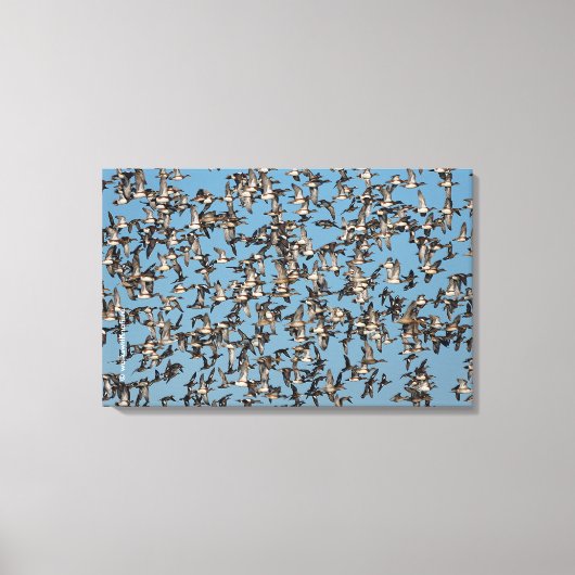 Slaapende winterdeenden in de vlucht canvas afdruk (Voorkant)