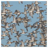 Slaapende winterdeenden in de vlucht stof (Close Up)