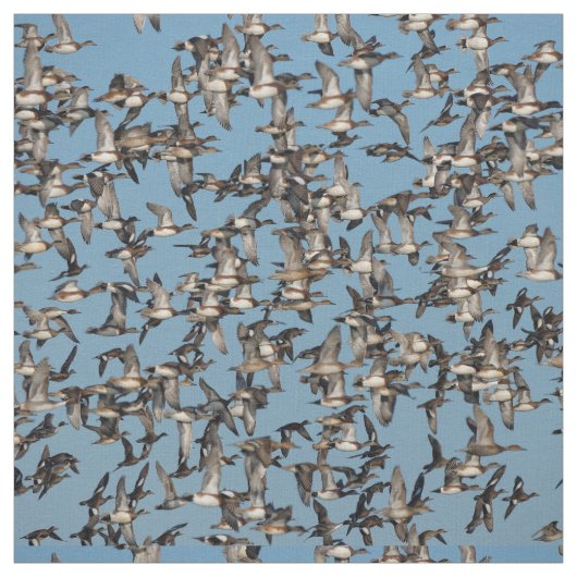 Slaapende winterdeenden in de vlucht stof (Swatch)