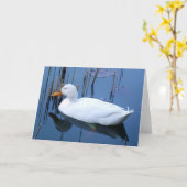 Slaapende witte duck reflectie kaart (Gele Bloem)