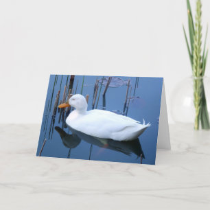 Slaapende witte duck reflectie kaart